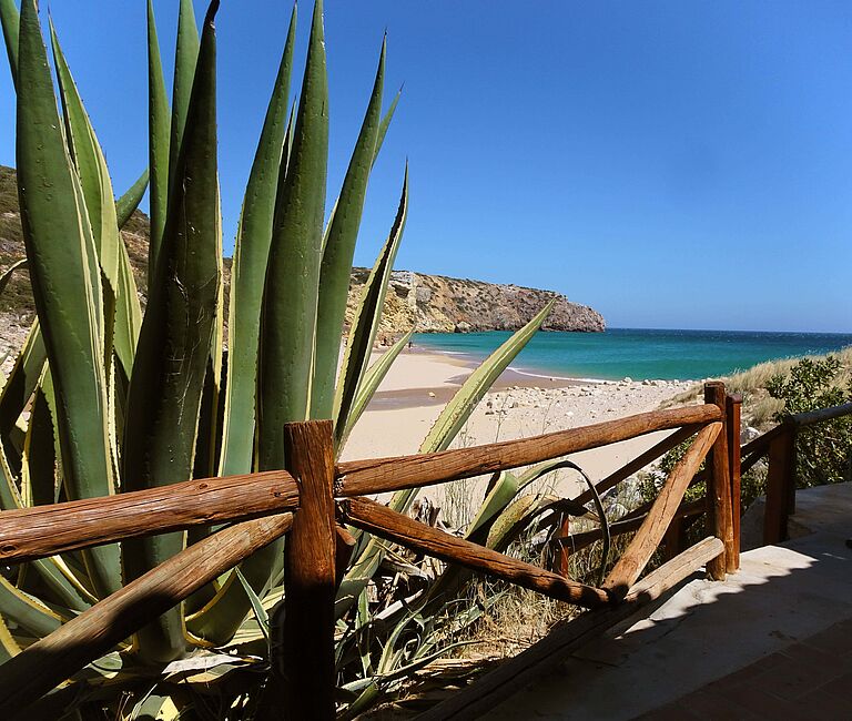 Zavial der Hausstrand Pure Surfcamps Algarve in Portugal