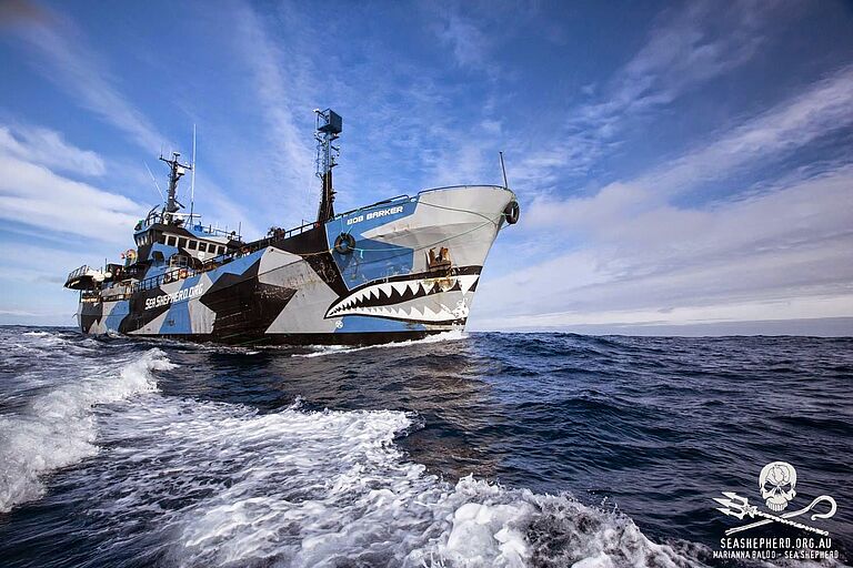 Sea Sheppard Schiff