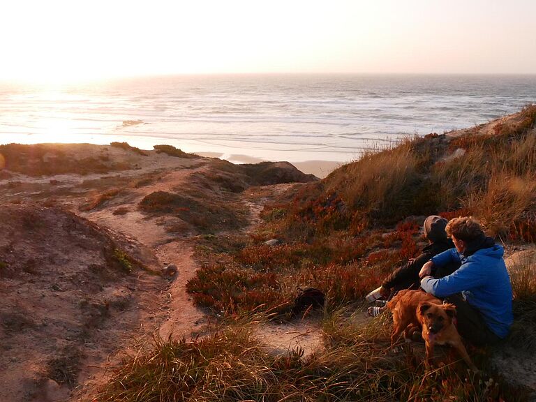 Pure Surfcamps Peniche Hausstrand session