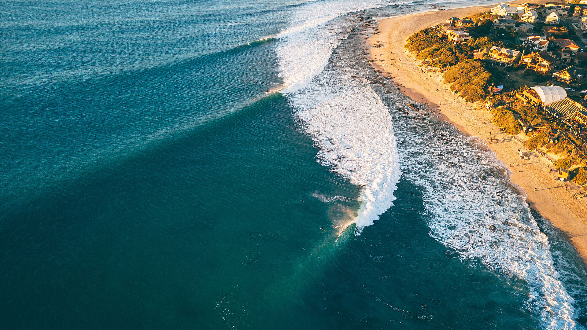 Surf Camps South Africa Pure Surfcamps