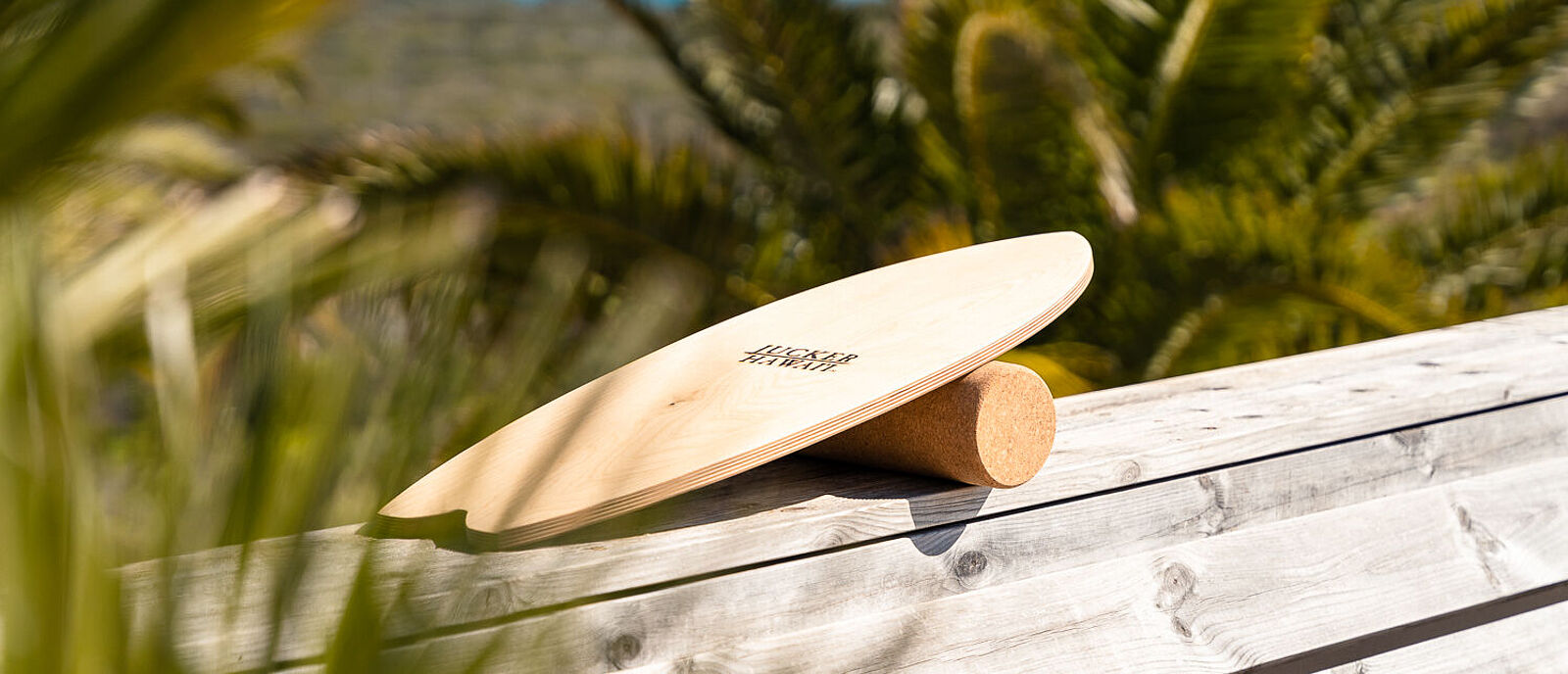 Balance Board Infos & Workout Übungen PURE Surfcamps